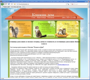 Сайт под ключ для компании koshkindomik.ru